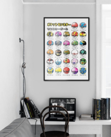 Pokémon poster Types of pokeballs 30x 40 cm