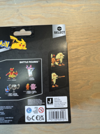 Pokémon Evolution Multi Set - Growlithe en Arcanine
