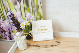 Valentijns Gezichtsbehandeling |90 min.