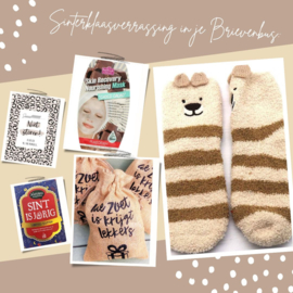 Sinterklaas brievenbus cadeau