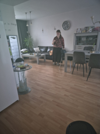 Huisreiniging