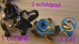Leer je afstemmen op de energie!