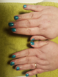 Nieuwe set gelnagels met gellac/colour gel
