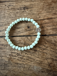 Mint 6mm