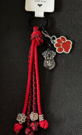 Labrador