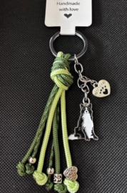 BORDER COLLIE