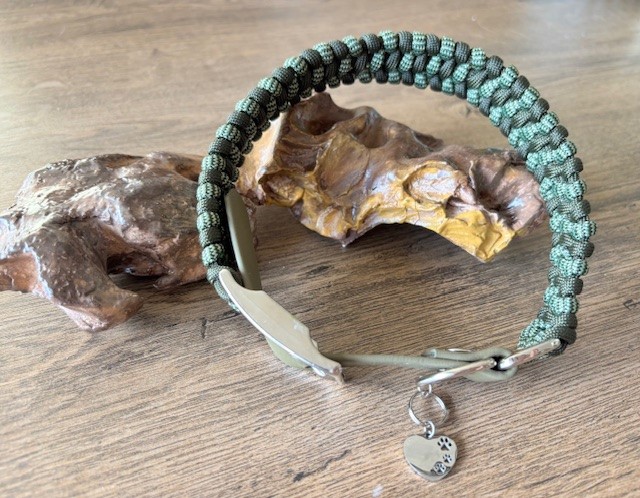 DARK GREEN/LIGHT-DARK GREEN