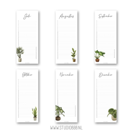 KALENDER | Planten
