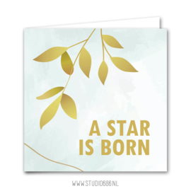Kaart | A star is born