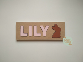 Naampuzzel 0-5 letters. Bijv. 'Lily - zacht roze'