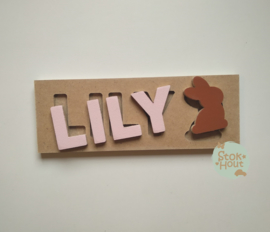 Naampuzzel 0-5 letters. Bijv. 'Lily - zacht roze'