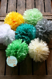 Setje Pompoms 'Lente' - 25cm (7 stuks) (ST202)