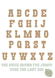 Vintaged Circus letter - 20cm/50cm - bv Goud