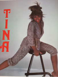 Tina Turner Photograph x 4  | Orig Anabas Glossy  1985