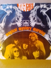 The Cats- Magical mystery morning