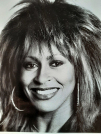 Tina Turner Photograph x 4  | Orig Anabas Glossy  1985