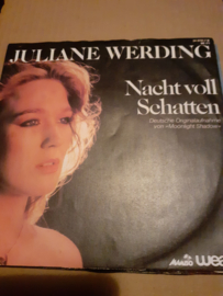 Juliane Werding-Nacht voll Schatten