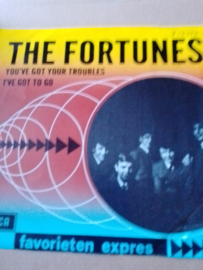 The Fortunes-You've got your troubles