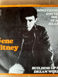 Gene Pitney-Something's gotten hold of my heart