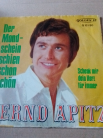Bernd Apitz-Der Mondschein schien schon schön