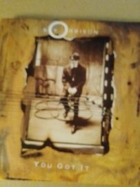 Roy Orbison- You got it