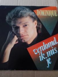 Dominique- Verdomd ik mis je