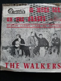 The Walkers- There's no more corn on the brasos