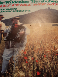 Die Wildecker Herzbuben- In meiner kleinen Kneipe