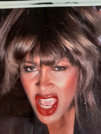 Tina Turner Photograph x 4  | Orig Anabas Glossy  1985