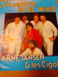 Arne Jansen-Als 'n meeuw in de wind