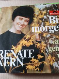 Renate Kern- Bis Morgen