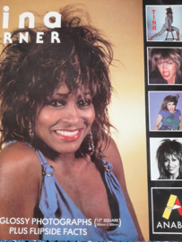 Tina Turner Photograph x 4  | Orig Anabas Glossy  1985