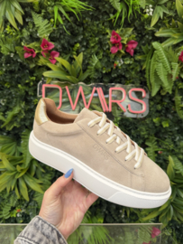 DWRS Sneakers YODO | Sand / Champagne -  B11891-02