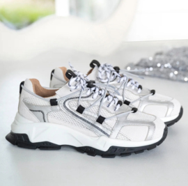 DWRS Sneakers ISOLA mesh - Sneakers | Grey / Silver -  B11443-02