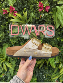 DWRS Slippers - MADRID | Champagne S2721-07