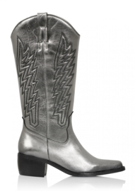 DWRS COLOMBIA - Westernboots | Metallic