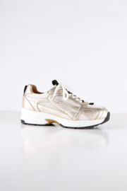DWRS Sneakers NEYA | Champagne/White - B11849-01