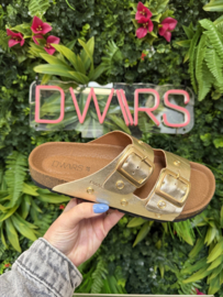 DWRS Slippers - MADRID | Champagne S2721-07