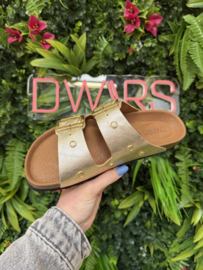 DWRS Slippers - MADRID | Champagne S2721-07