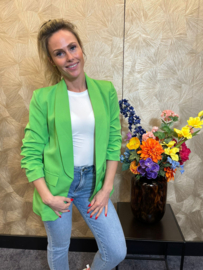 Gesmokte Mouw Blazer Barbara Green
