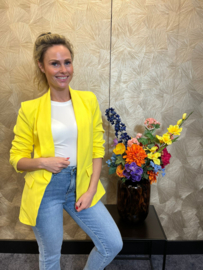 Gesmokte Mouw Blazer Barbara Yellow