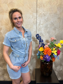 Jumpsuit Denim Stretch