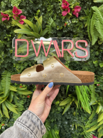 DWRS Slippers - MADRID | Champagne S2721-07