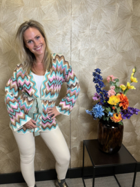 Gilet zig zag Yara baby blauw / roze