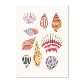 Sieraden kaartjes Schelp Multicolor, per stuk