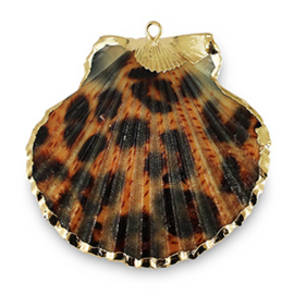 Schelp hangers specials Sint Jacobsschelp luipaard Copper brown-gold, 1 stuk