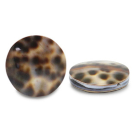 Schelp kralen 20mm Brown-Beige, per stuk