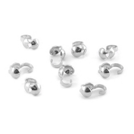 DQ kalotjes 4mm Zilver 2 stuks