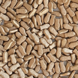 Fish beads Mat gold, 10 gram c.a. 13 st.