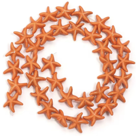 Zeester 14mm Orange, per stuk